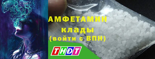 ПСИЛОЦИБИНОВЫЕ ГРИБЫ Михайлов