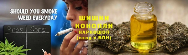 ПСИЛОЦИБИНОВЫЕ ГРИБЫ Михайлов