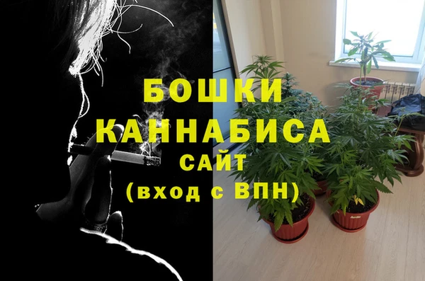 ПСИЛОЦИБИНОВЫЕ ГРИБЫ Михайлов