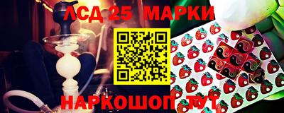 ПСИЛОЦИБИНОВЫЕ ГРИБЫ Гатчина