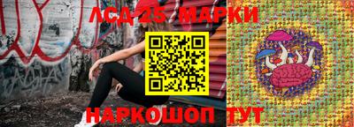 ПСИЛОЦИБИНОВЫЕ ГРИБЫ Гатчина