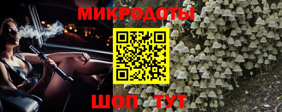 дарнет шоп  Псилоцибиновые грибы Magic Shrooms  Ковров  Вход с VPN  Псилоцибиновые грибы Psilocybe 